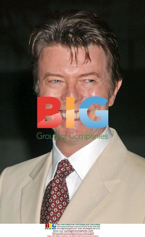 David Bowie at 2007 Tribeca Film Festival Vanity Fair Party