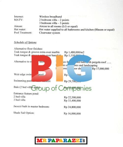 Tara Palmer Tomkinson Leaves Bali Airport