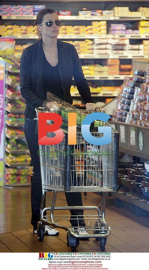 Pregnant Bridget Moynihan Grocery Shopping