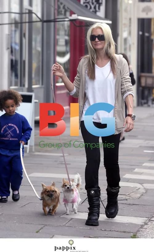 Caprice Bourret chats with mini pooches in London