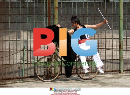 Animal trainer cycling with bear in China