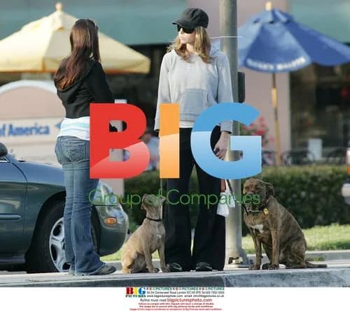 Jessica Biel walks dogs with friend