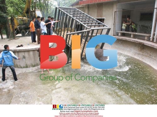 African hippos arrive at Huaibei Zoo, China