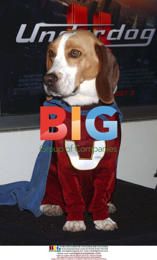 Leo attends 'Underdog' Premiere