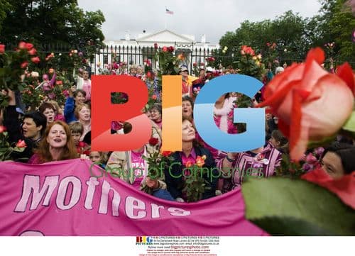 Cindy Sheehan and Susan Sarandon protest at White House