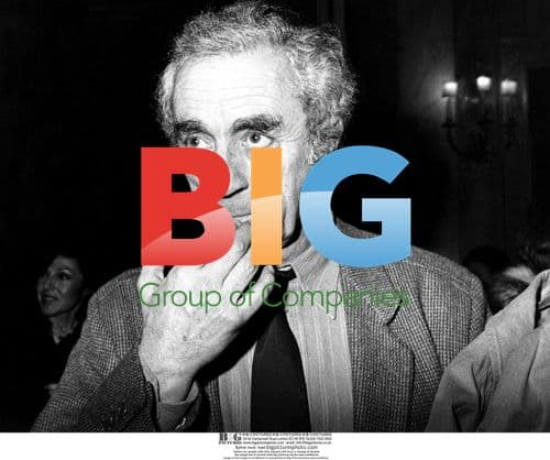 Michelangelo Antonioni Portrait