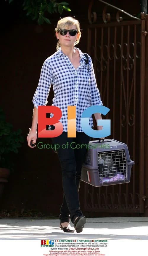 Kirsten Dunst Picks Up Cat From Vet