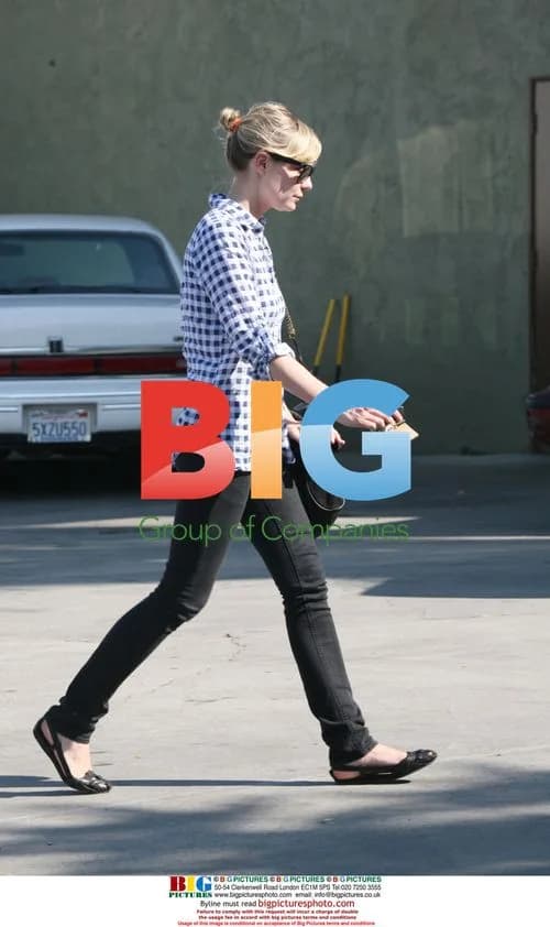 Kirsten Dunst Visits Vet in Studio City