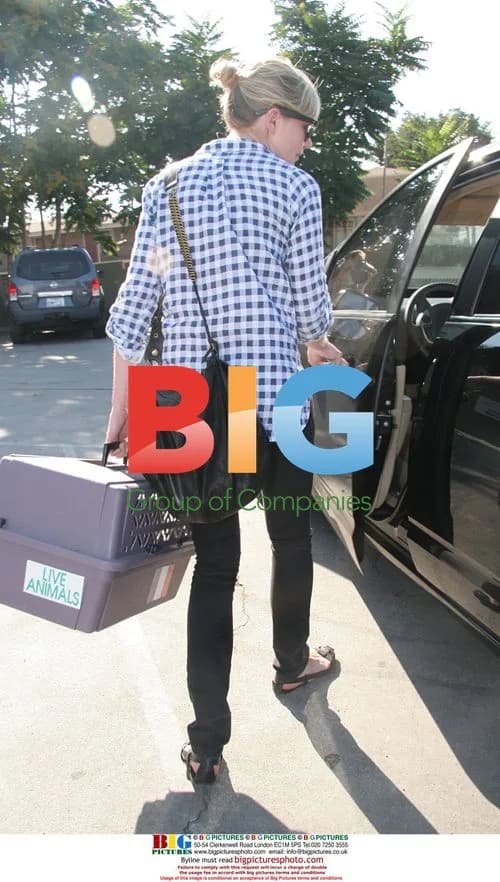 Kirsten Dunst Heads to Vet