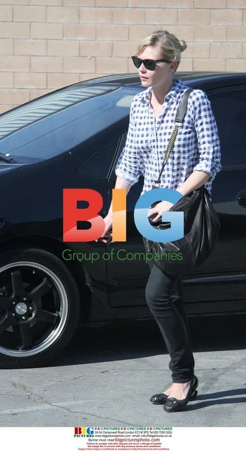 Kirsten Dunst at the Vet