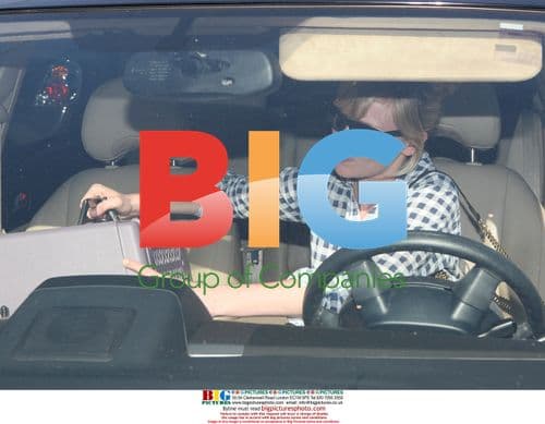 Kirsten Dunst Visits Vet in Studio City