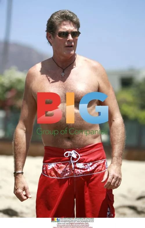 David Hasselhoff and daughter at Baywatch charity party