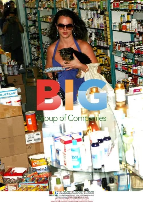 Britney Spears runs errands with her dog