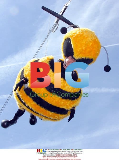 Jerry Seinfeld Promotes 'Bee Movie' at Cannes