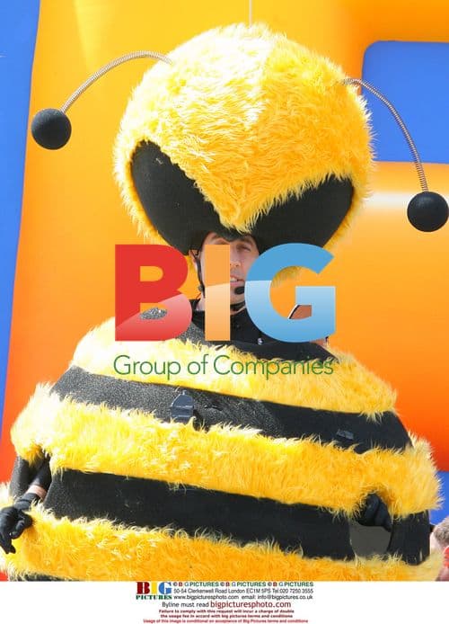 Jerry Seinfeld in Bee Costume at Cannes