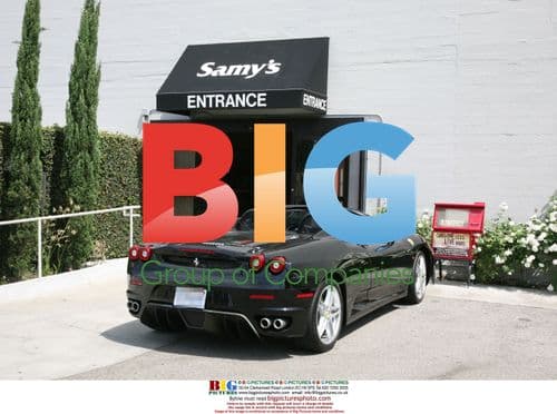 Singer Seal shops for cameras