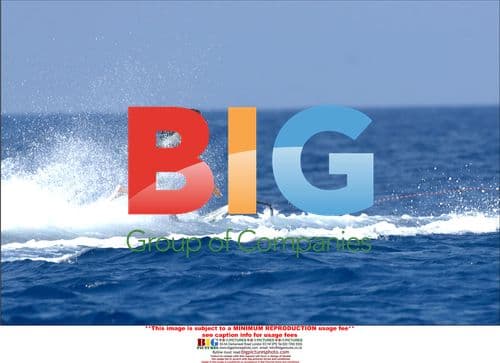 Lewis Hamilton enjoys water skiing on yacht