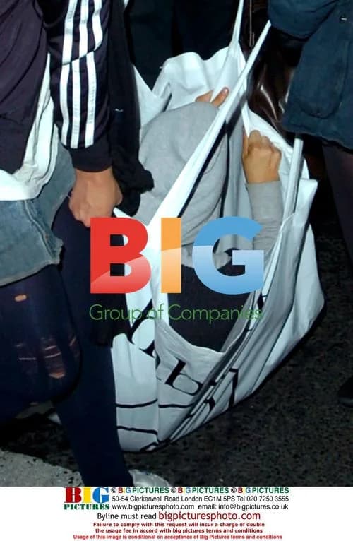 Singer Lily Allen Hides in Bag at Punk Club
