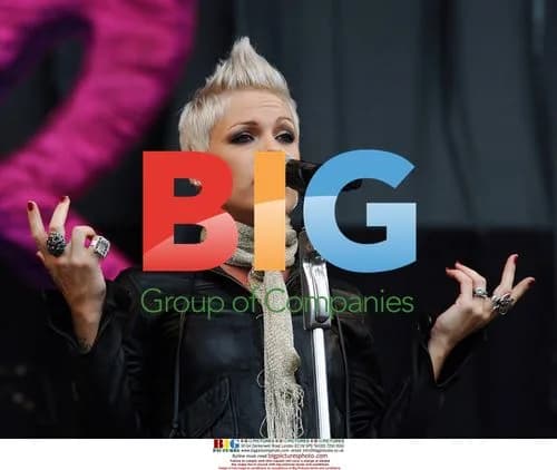 Pink Performs at V Festival