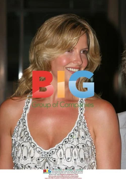 Rod Stewart and Penny Lancaster Wedding Celebration