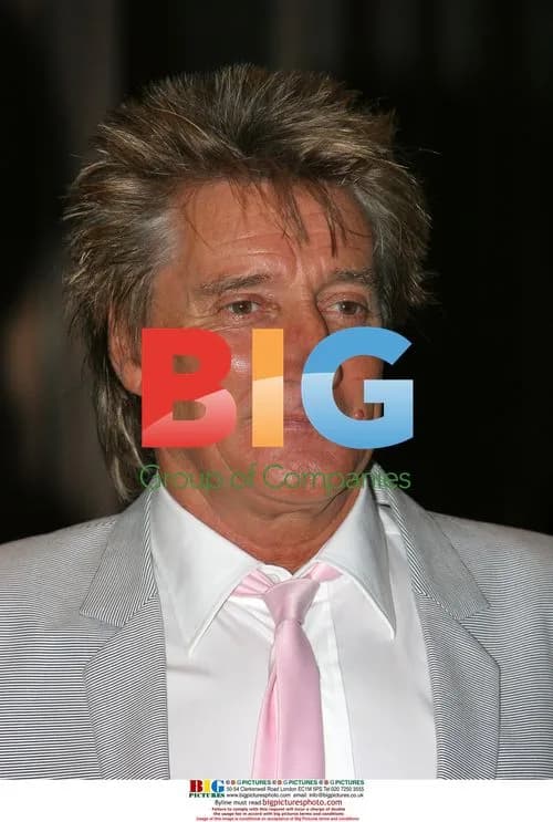 Rod Stewart and Penny Lancaster at London Wedding Celebration