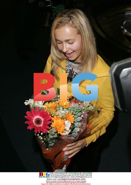 Hayden Panettiere Arrives at LAX on 18th Birthday