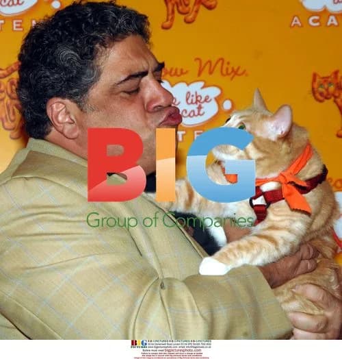 Actor Vincent Pastore plays with cats