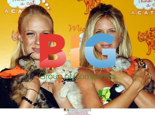 CariDee English and Rachel Hunter at Meow Mix Party