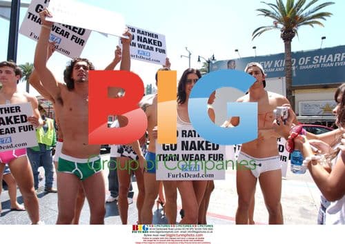 Janice Dickinson and Models Protest Fur