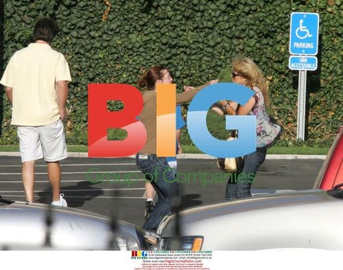 Dina Lohan Visits Rehab Facility