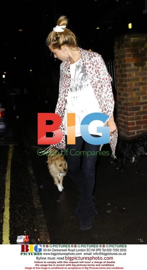 Sienna Miller Walking Dogs in London