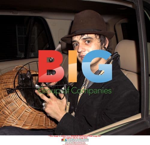 Pete Doherty and kittens in London