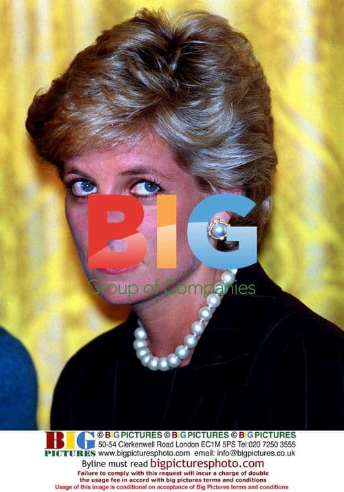 Princess Diana at White House with Hillary Clinton