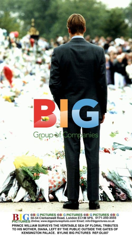 Prince William at Diana Tribute