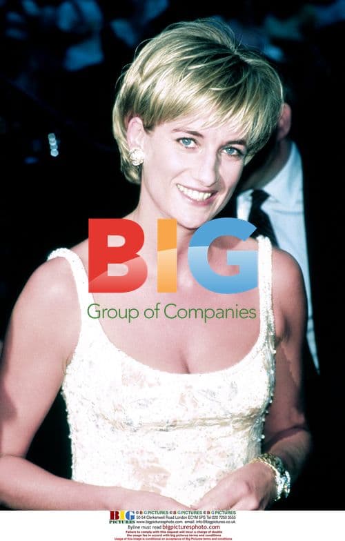 Diana, Princess of Wales at Dresses Event