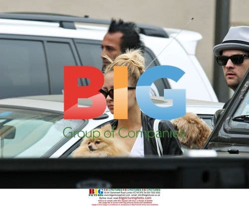 Nicole Richie Boards Dogs Before Jail