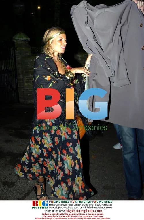 Celebs at Fancy Dress Party