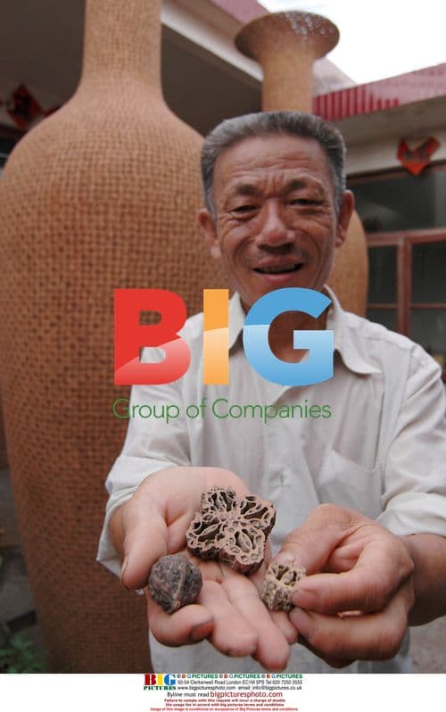 Ding Yuanzhong with walnut vases in Rizhao