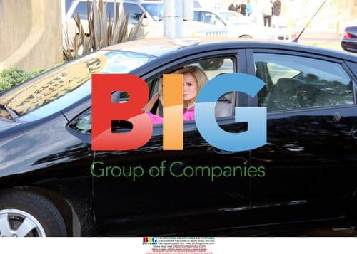 DONNA MILLS at 2007 Festival Of Arts