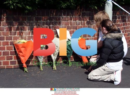 Bodies Found in Gangland-Style Execution