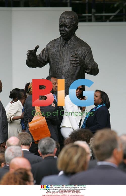 Unveiling of Nelson Mandela Statue in London