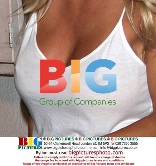 Pamela Anderson and Rick Solomon