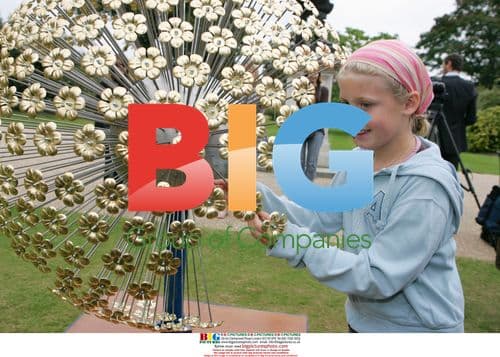 Field of Flowers at Kensington Palace