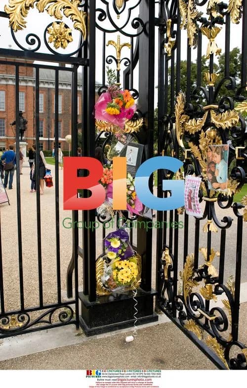 Field of Flowers at Kensington Palace