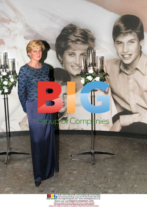 Princess Diana Memorial at Madame Trusseaus