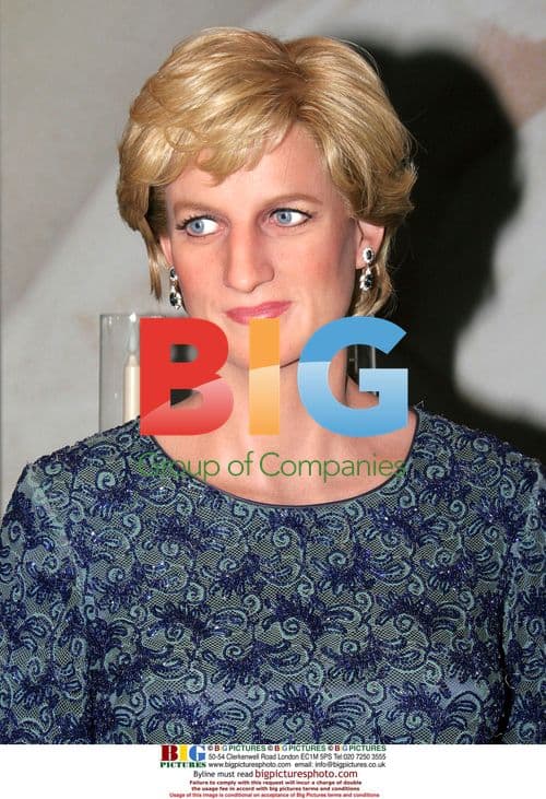 Princess Diana Memorial at Madame Trusseaus