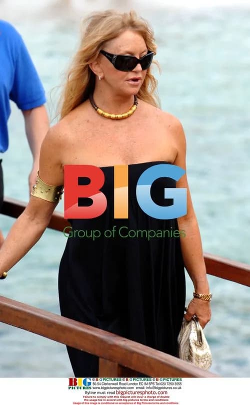 Goldie Hawn at Playing for Good Foundation Party