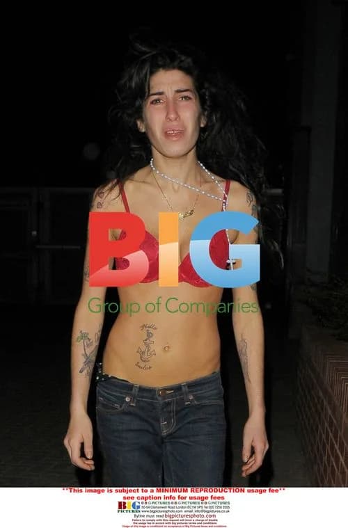 Amy Winehouse's Cry for Help