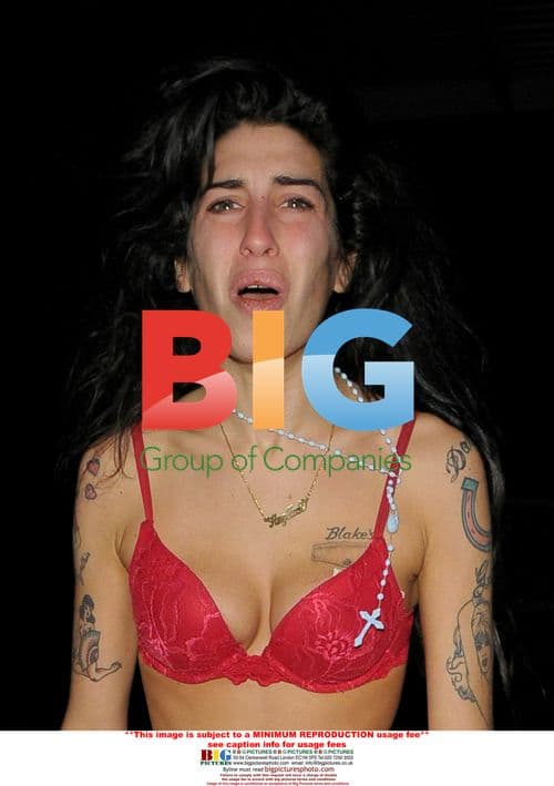 Amy Winehouse's Cry for Help