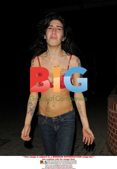 Amy Winehouse's cry for help